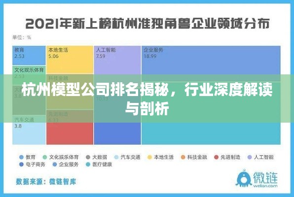 杭州模型公司排名揭秘,行业深度解读与剖析