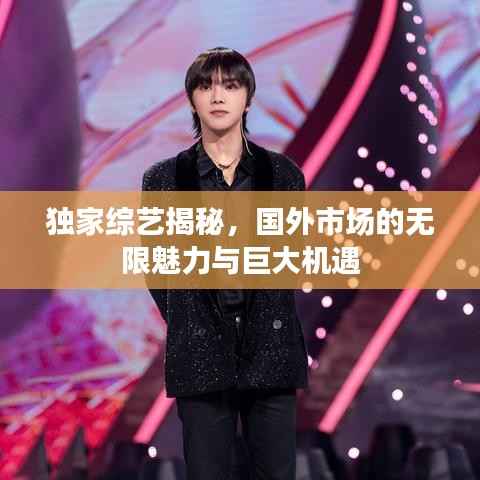 独家综艺揭秘,国外市场的无限魅力与巨大机遇