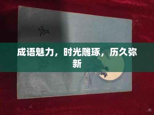 成语魅力,时光雕琢,历久弥新
