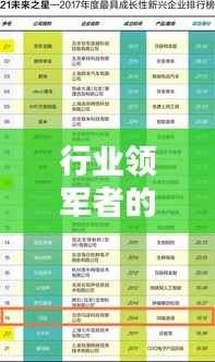 行业领军者的秘密揭晓,权威置换公司排名榜单出炉!