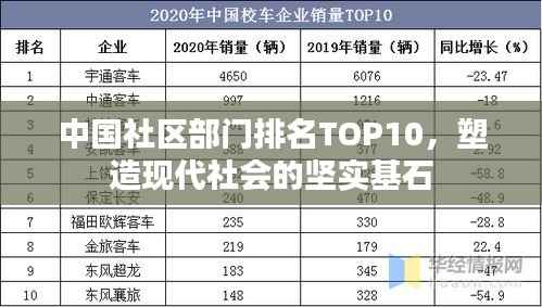 中国社区部门排名TOP10,塑造现代社会的坚实基石
