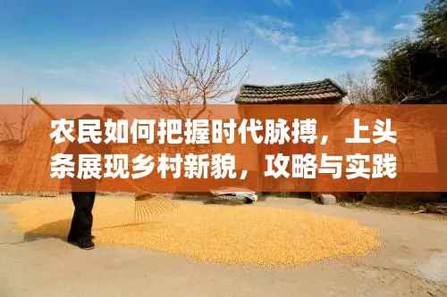 农民如何把握时代脉搏,上头条展现乡村新貌,攻略与实践
