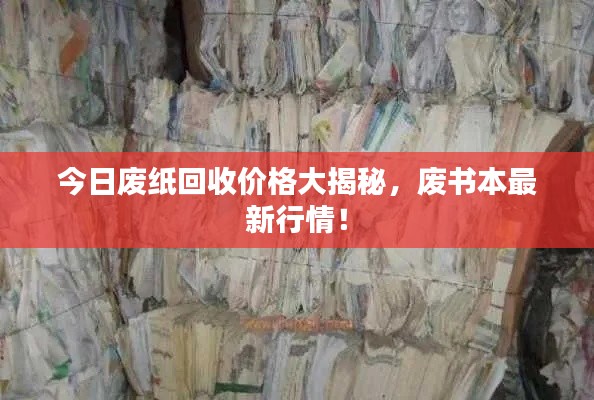今日废纸回收价格大揭秘,废书本最新行情!