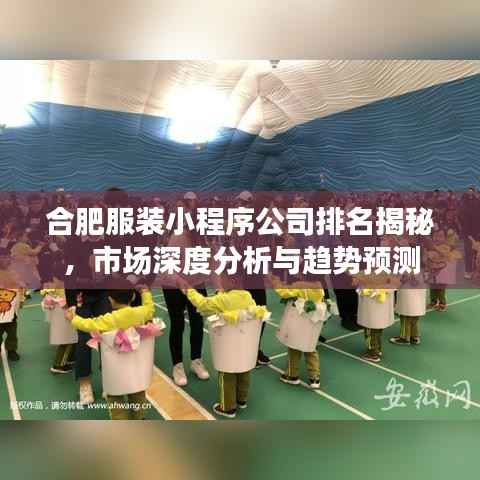 合肥服装小程序公司排名揭秘,市场深度分析与趋势预测
