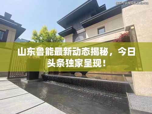 山东鲁能最新动态揭秘,今日头条独家呈现!
