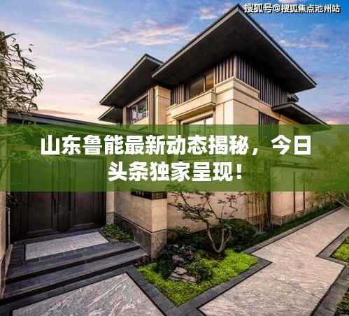 山东鲁能最新动态揭秘,今日头条独家呈现!