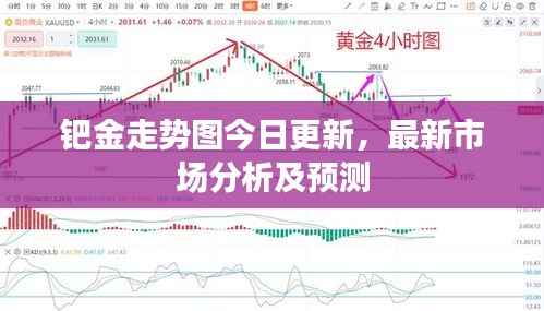 钯金走势图今日更新,最新市场分析及预测