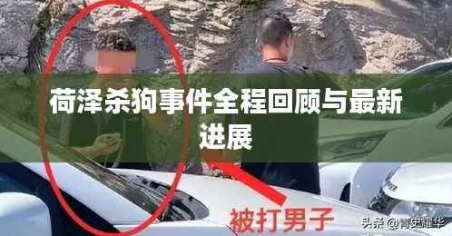 荷泽杀狗事件全程回顾与最新进展