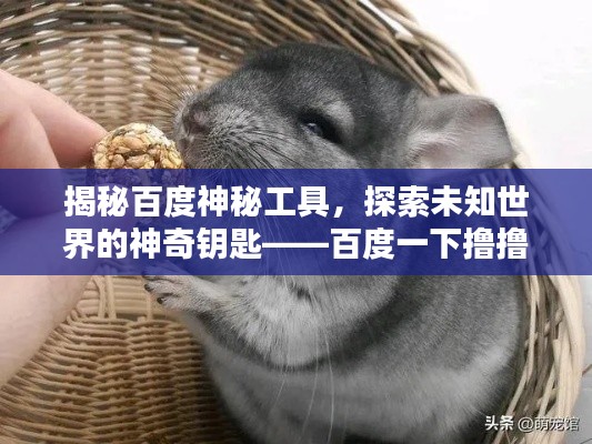 揭秘百度神秘工具,探索未知世界的神奇钥匙——百度一下撸撸看!