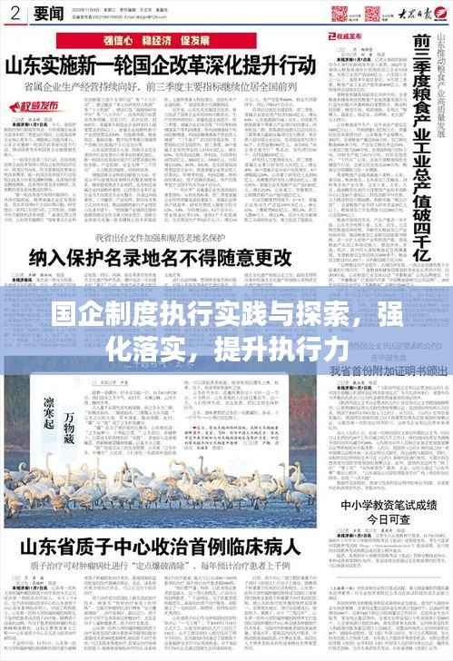 国企制度执行实践与探索,强化落实,提升执行力