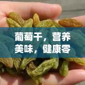 葡萄干,营养美味,健康零食首选,百度带你探索更多!