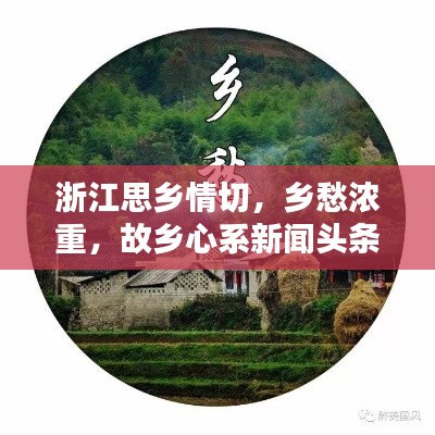 浙江思乡情切,乡愁浓重,故乡心系新闻头条