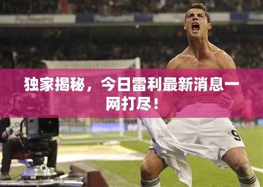 独家揭秘,今日雷利最新消息一网打尽!