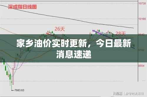 家乡油价实时更新,今日最新消息速递