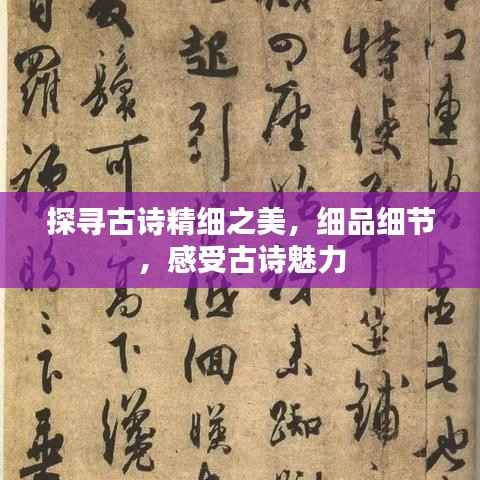 探寻古诗精细之美,细品细节,感受古诗魅力