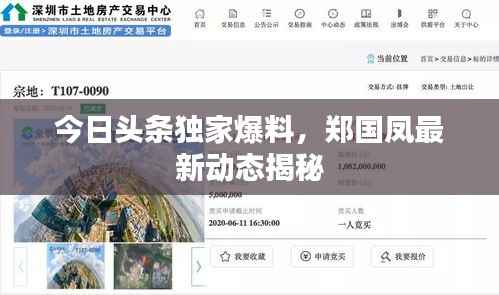 今日头条独家爆料,郑国凤最新动态揭秘