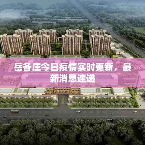 岳各庄今日疫情实时更新,最新消息速递