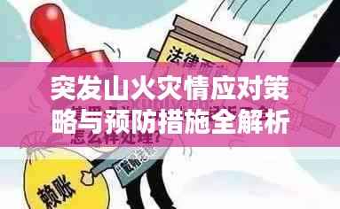 突发山火灾情应对策略与预防措施全解析