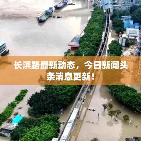 长滨路最新动态,今日新闻头条消息更新!