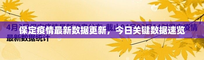 保定疫情最新数据更新,今日关键数据速览