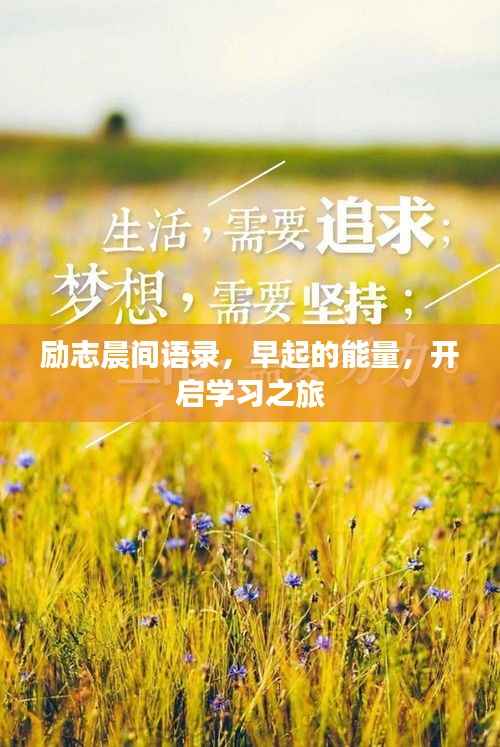 励志晨间语录,早起的能量,开启学习之旅