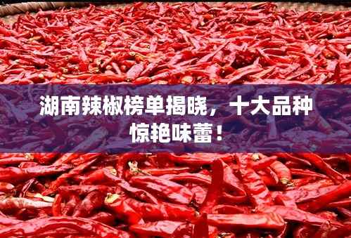 天罗地网 第2页