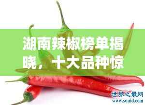 湖南辣椒榜单揭晓,十大品种惊艳味蕾!