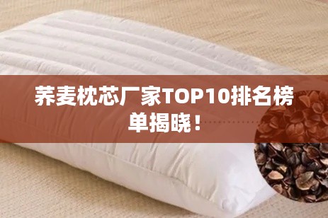 荞麦枕芯厂家TOP10排名榜单揭晓!