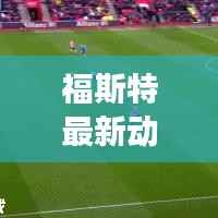福斯特最新动态揭秘,今日重磅消息抢先看