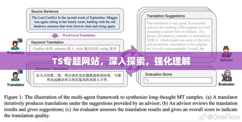 TS专题网站,深入探索,强化理解