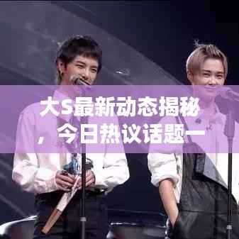 大S最新动态揭秘,今日热议话题一网打尽
