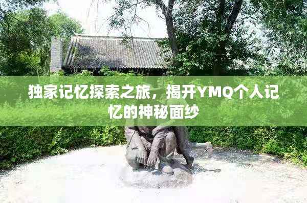 独家记忆探索之旅,揭开YMQ个人记忆的神秘面纱