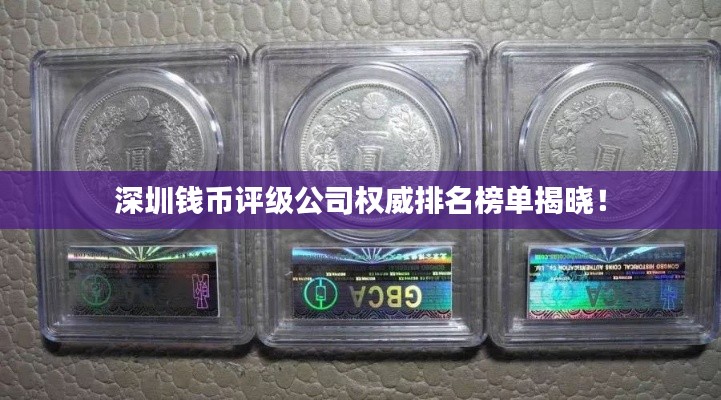 深圳钱币评级公司权威排名榜单揭晓!