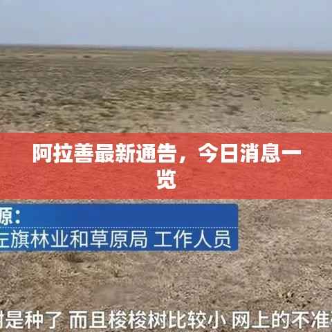 阿拉善最新通告,今日消息一览