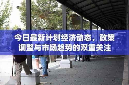 今日最新计划经济动态,政策调整与市场趋势的双重关注