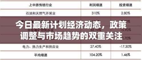 今日最新计划经济动态,政策调整与市场趋势的双重关注