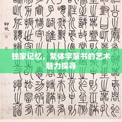 独家记忆,繁体字篆书的艺术魅力探寻