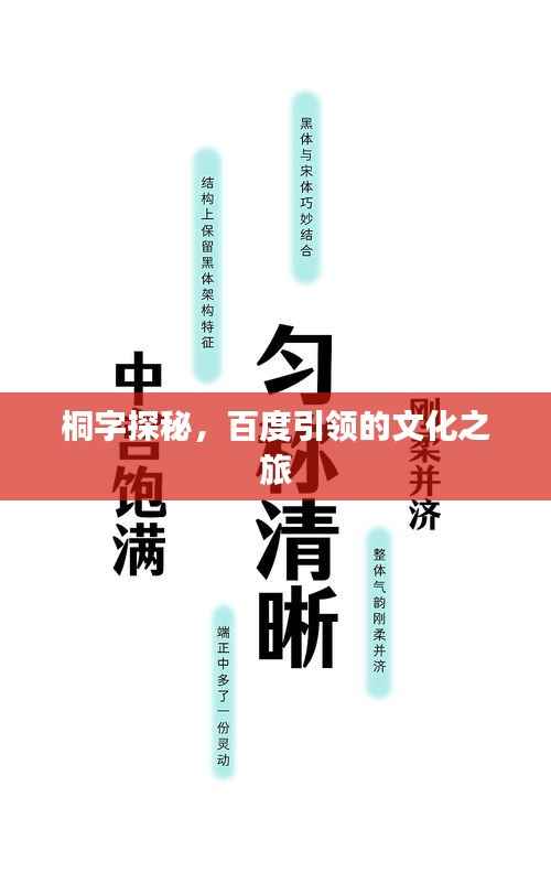 桐字探秘,百度引领的文化之旅