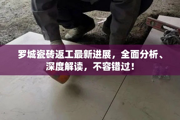 罗城瓷砖返工最新进展,全面分析、深度解读,不容错过!