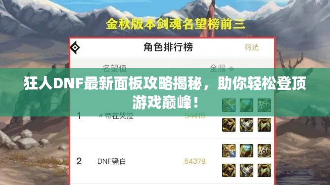 狂人DNF最新面板攻略揭秘,助你轻松登顶游戏巅峰!