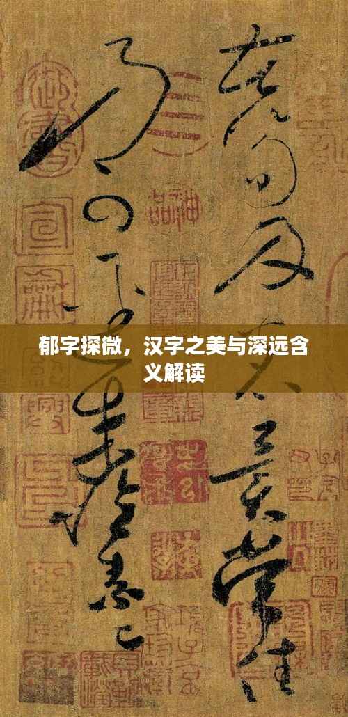 郁字探微,汉字之美与深远含义解读