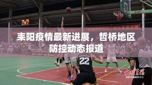 耒阳疫情最新进展,哲桥地区防控动态报道