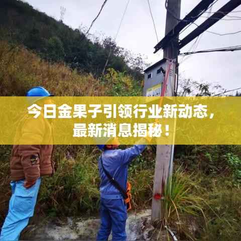今日金果子引领行业新动态，最新消息揭秘！