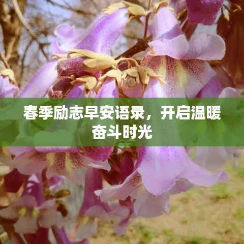 春季励志早安语录,开启温暖奋斗时光