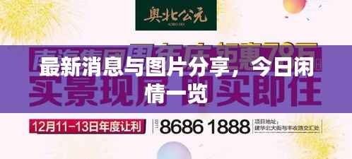 最新消息与图片分享,今日闲情一览