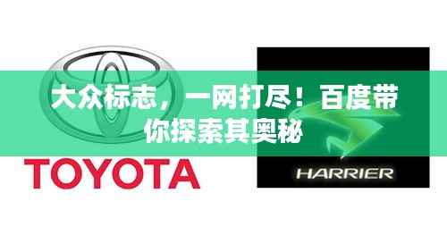 大众标志,一网打尽!百度带你探索其奥秘