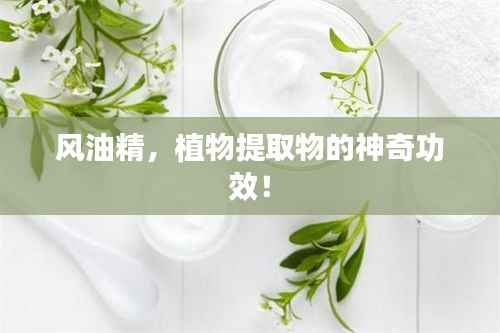 风油精,植物提取物的神奇功效!