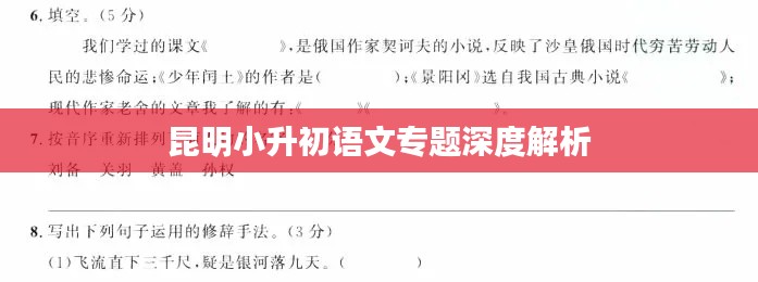 昆明小升初语文专题深度解析