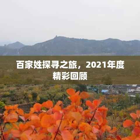 百家姓探寻之旅,2021年度精彩回顾