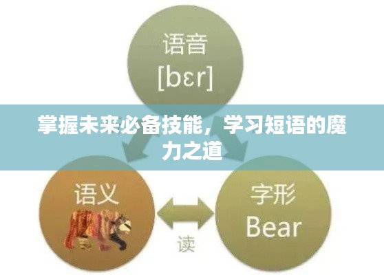 掌握未来必备技能,学习短语的魔力之道
